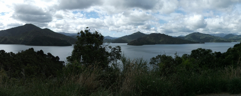 Queen Charlotte Sound New Zealand