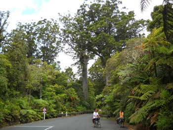 darby and joan kauris, clive parker and guy