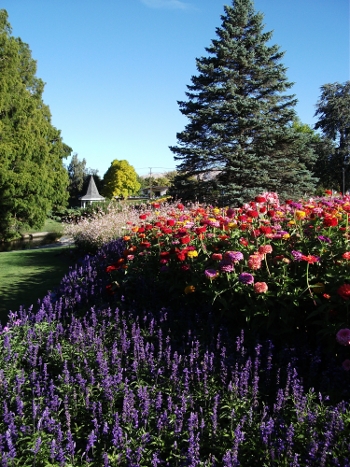 pollard park in blenheim, new zealand