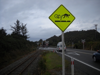 cars and trains have to share and the cyclist falls off