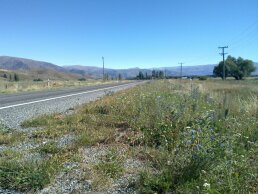 roadside near omerama 