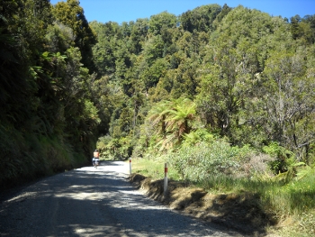 guy on the taurange gorge road
