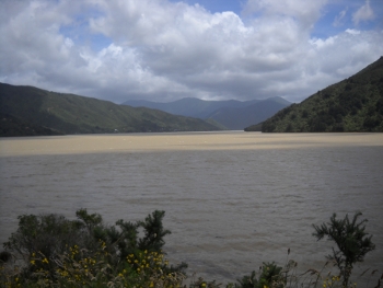 the coast before havelock