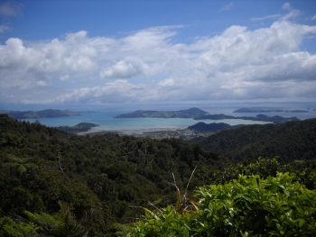 view over coromandel town from the big col