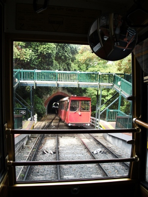 wellington trams passing