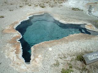 Blue Star Spring