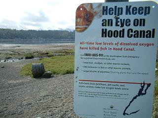 Hood Canal Eco Warning