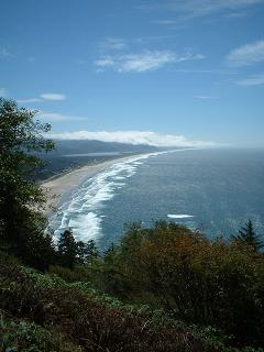Near Cannon Beach